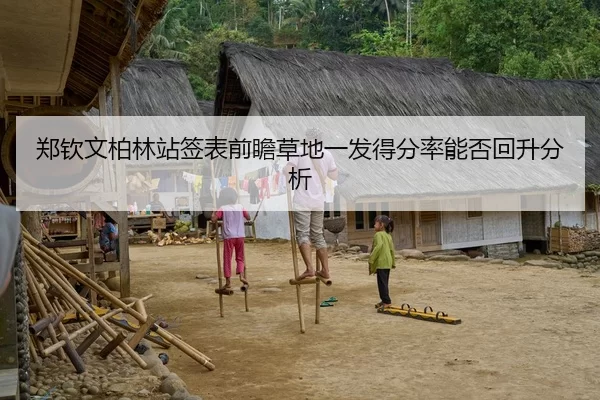 郑钦文柏林站签表前瞻草地一发得分率能否回升分析