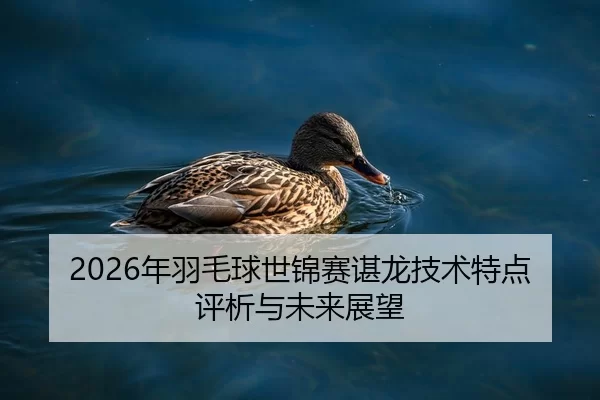 2026年羽毛球世锦赛谌龙技术特点评析与未来展望