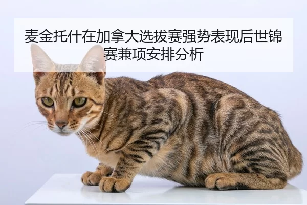 mai-jin-tuo-shen-zai-jia-na-da-xuan-ba-sai-qiang-shi-biao-xian-hou-shi-jin-sai-jian-xiang-an-pai-fen-xi-2-236.jpg