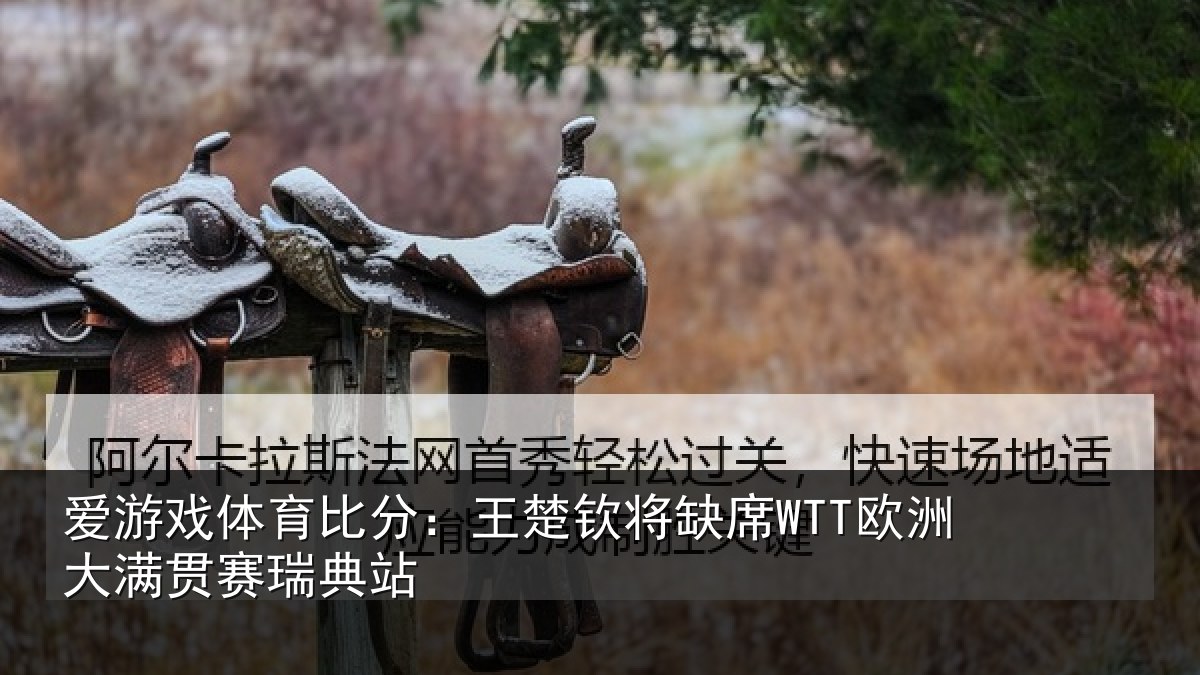 爱游戏体育比分：王楚钦将缺席WTT欧洲大满贯赛瑞典站