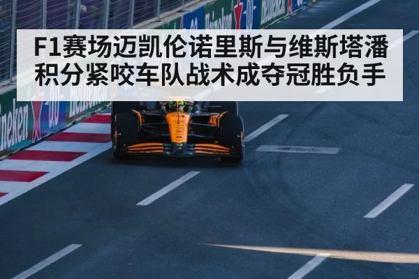 F1赛场迈凯伦诺里斯与维斯塔潘积分紧咬车队战术成夺冠胜负手