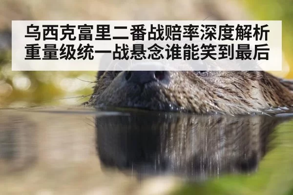 乌西克富里二番战赔率深度解析重量级统一战悬念谁能笑到最后