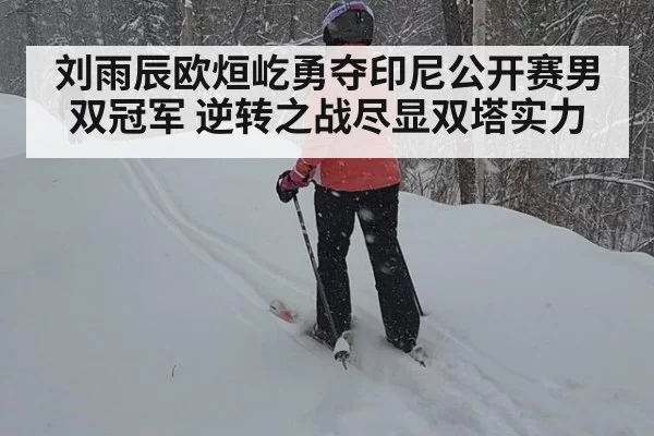 刘雨辰欧烜屹勇夺印尼公开赛男双冠军 逆转之战尽显双塔实力